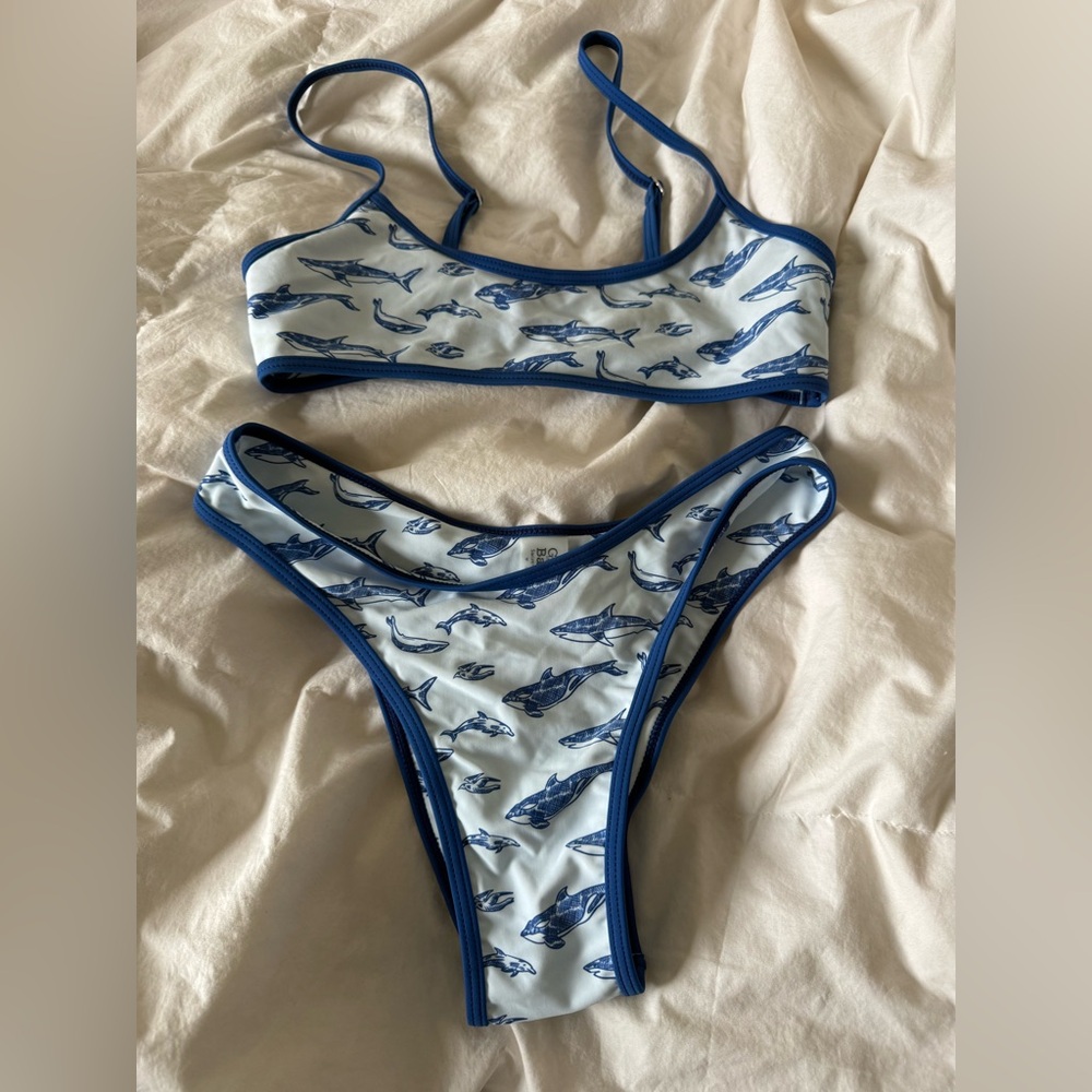 gray bandit Blue and White Bikini set